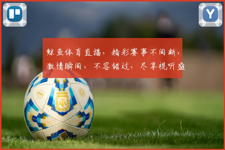 鲸鱼体育直播，精彩赛事不间断，激情瞬间，不容错过，尽享视听盛宴
