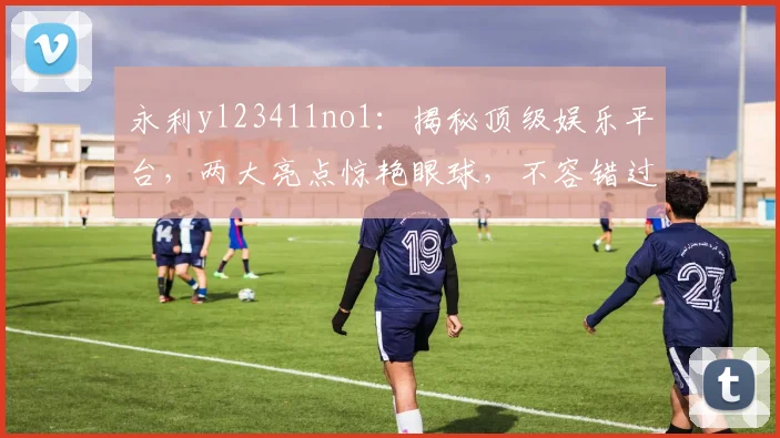 永利yl23411no1：揭秘顶级娱乐平台，两大亮点惊艳眼球，不容错过