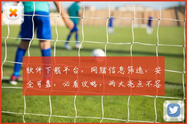 软件下载平台，网赌信息筛选，安全可靠，必看攻略，两大亮点不容错过