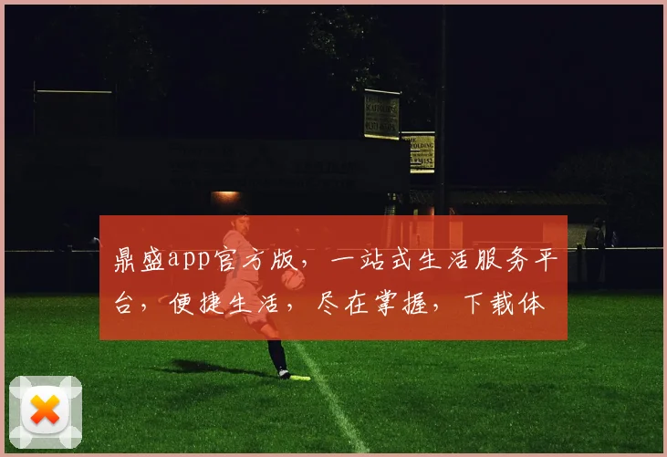 鼎盛app官方版，一站式生活服务平台，便捷生活，尽在掌握，下载体验，惊喜不断