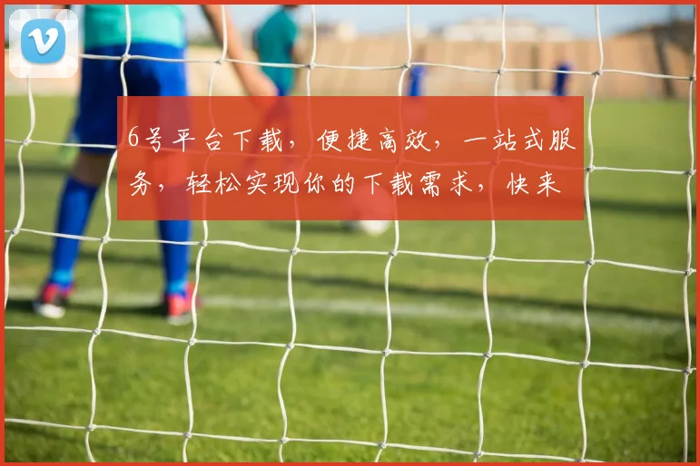 6号平台下载，便捷高效，一站式服务，轻松实现你的下载需求，快来体验